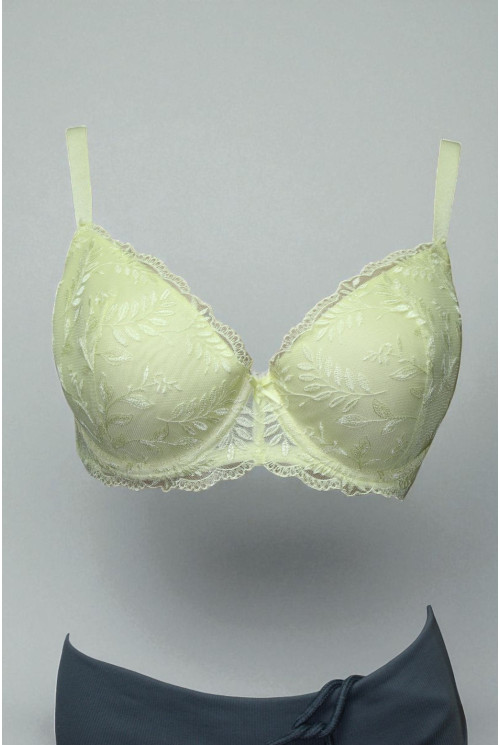 Бюстгальтер